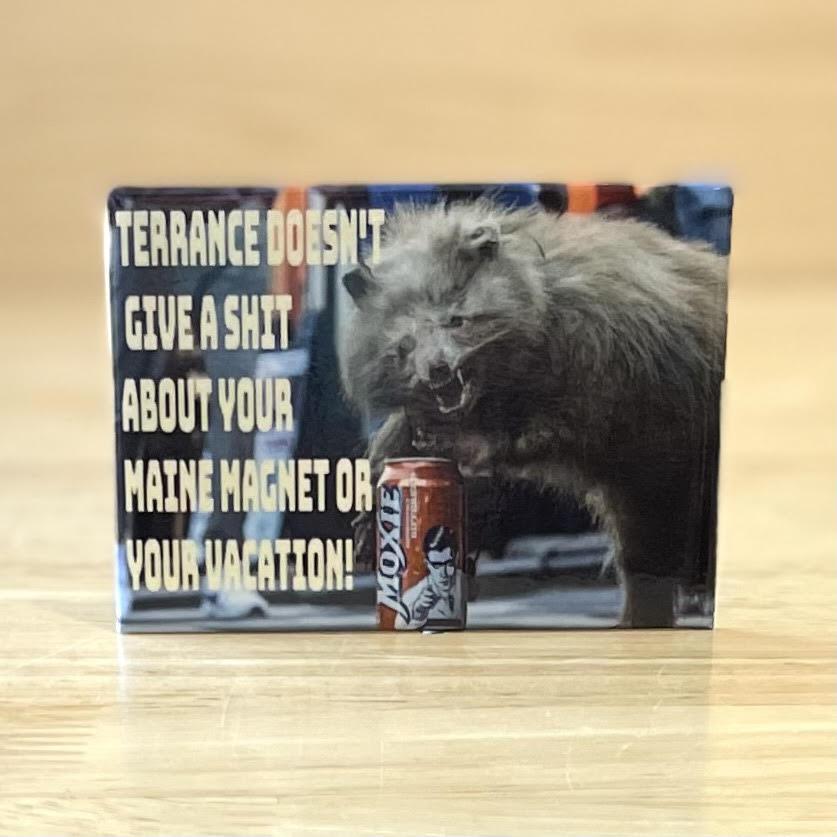 2x3 Magnets