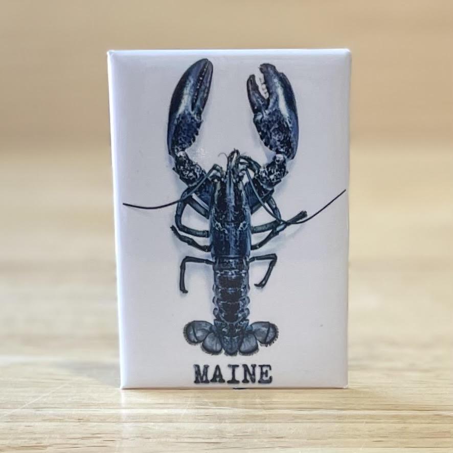 2x3 Magnets