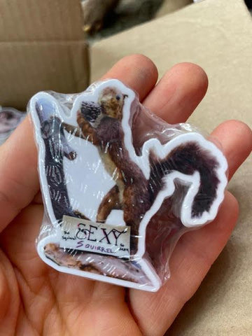 Sexy Squirrel Sticker by @themainesouvenirshop