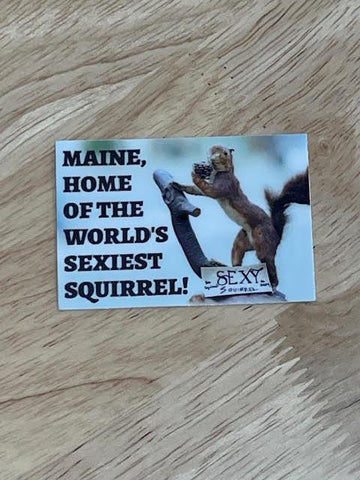 Sexy Squirrel Sticker @goodmaine