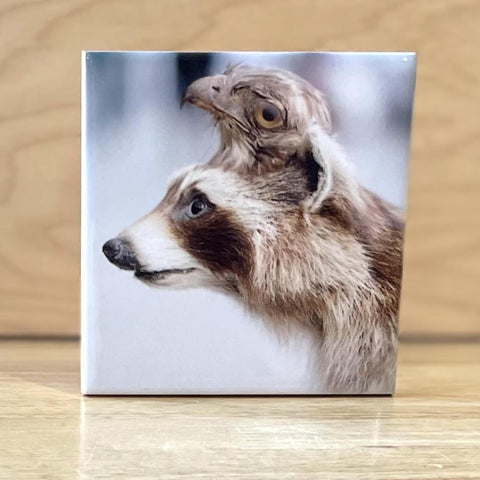Fluffy and Moe Coasters by  Peter Cordice