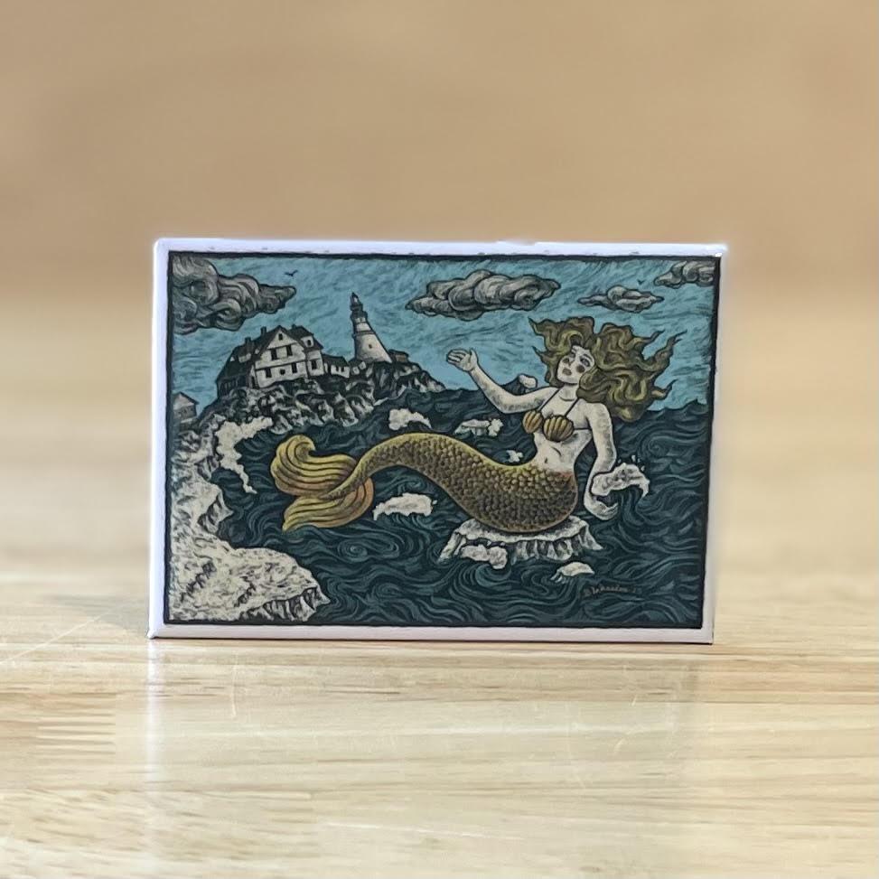 2x3 Magnets
