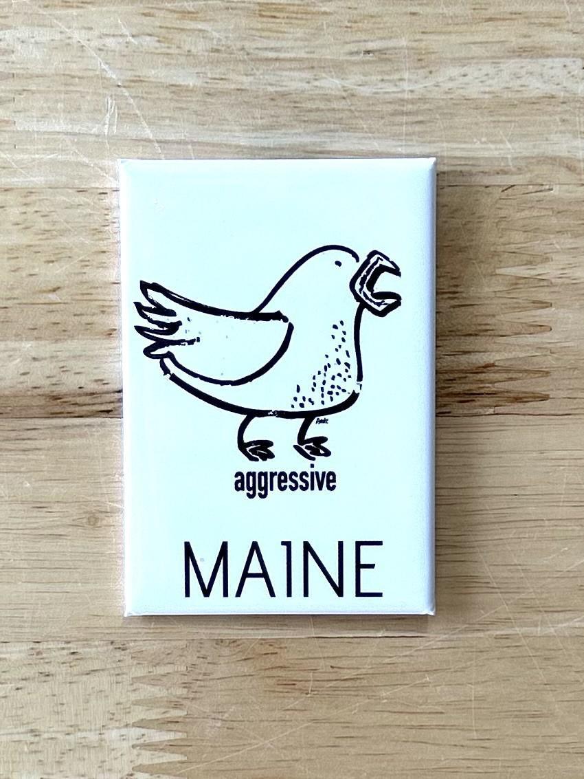 2x3 Magnets