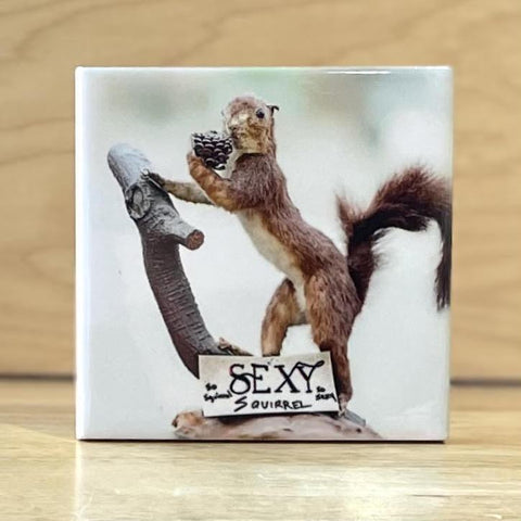 Sexy Squirrel Coasters by  Peter Cordice
