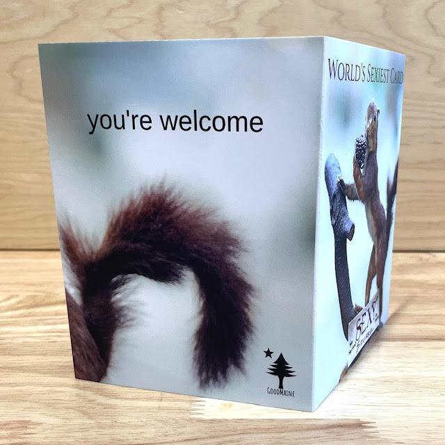 Sexy Squirrel Greeting Card @themainesouvenirshop