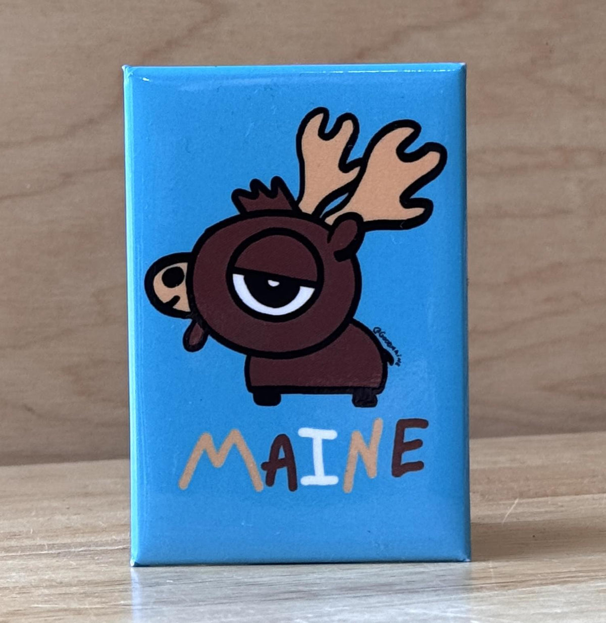 2x3 Magnets
