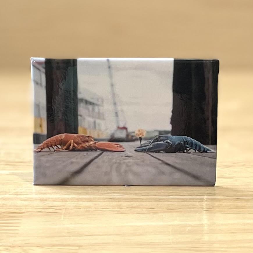 2x3 Magnets