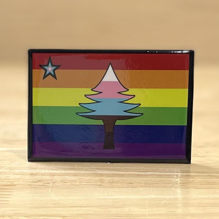 2x3 Magnets