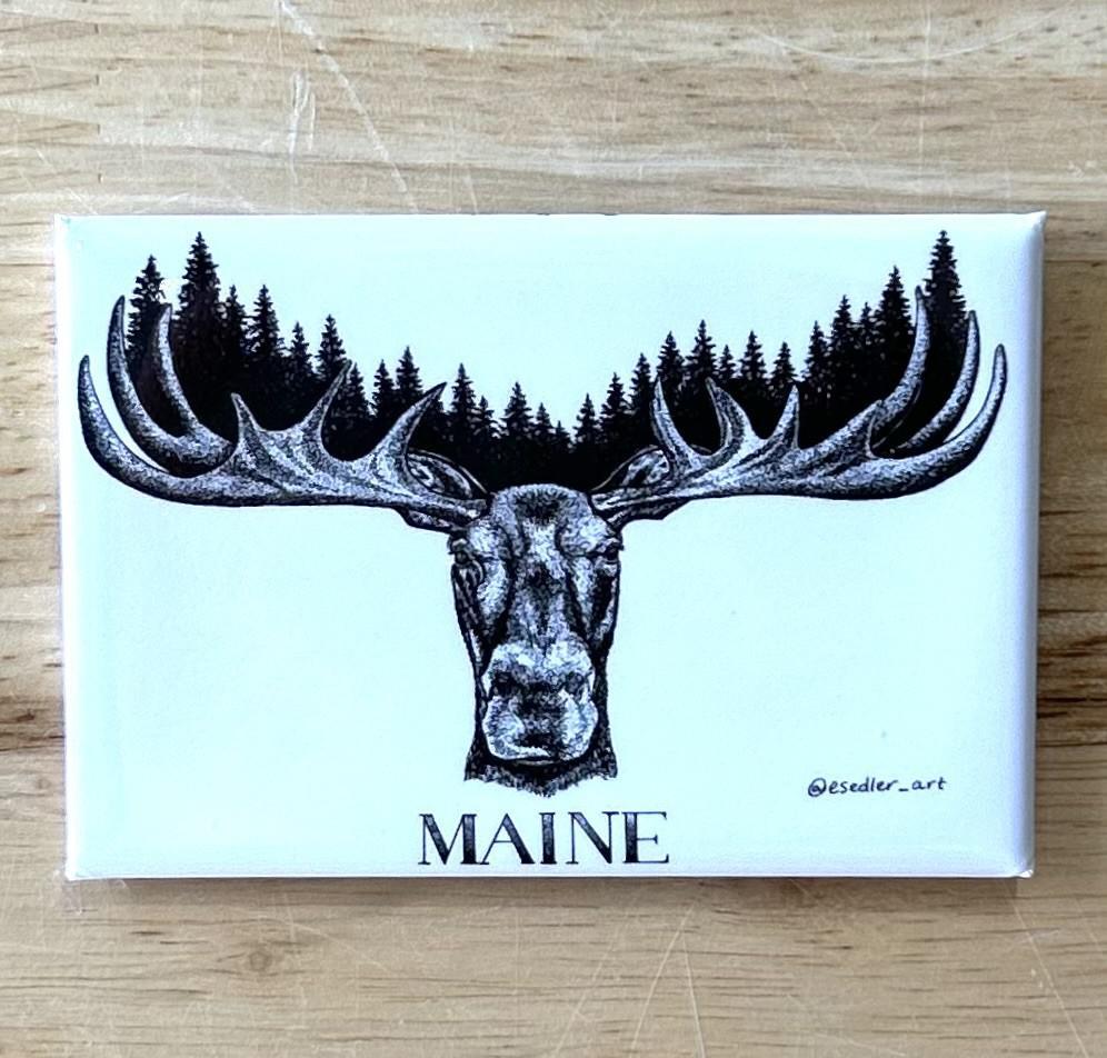 2x3 Magnets