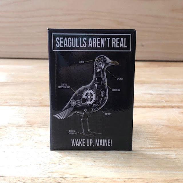 2x3 Magnets