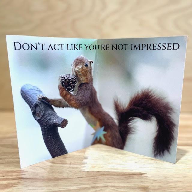 Sexy Squirrel Greeting Card @themainesouvenirshop