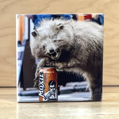 Terrance Coasters by  Peter Cordice