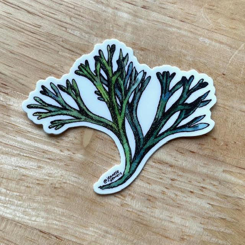 Seaweed Sticker @jeanelledemers