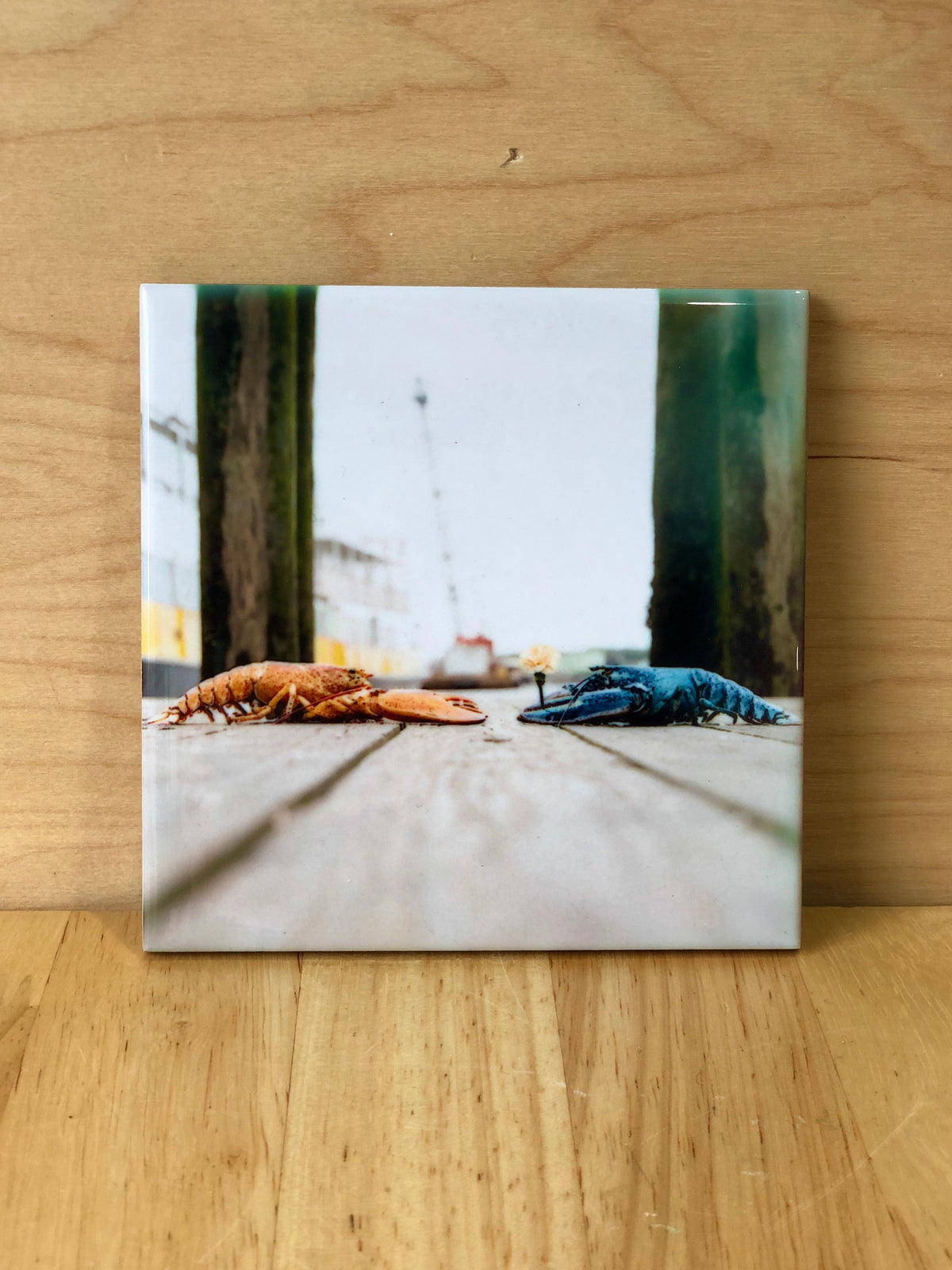 Blue Lobster Coasters @themainesouvenirshop