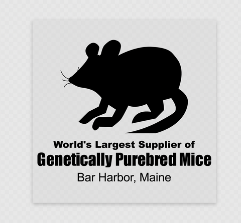 Mice Fact Sticker