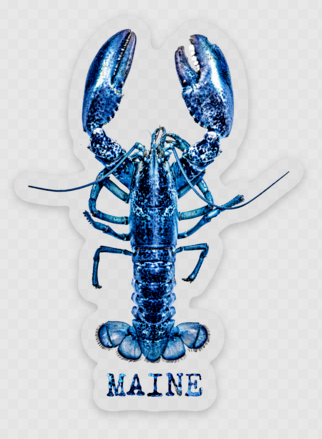 Blue Lobster Sticker by @themainesouvenirshop