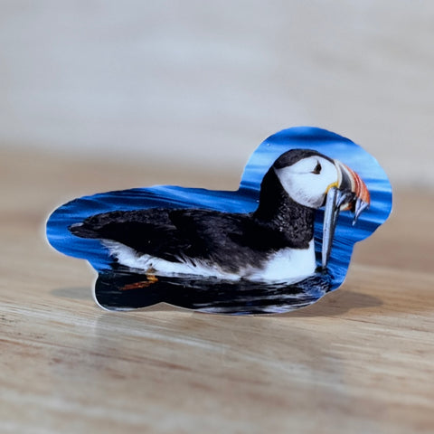 Puffin Swimming Photo Sticker by @themainesouvenirshop