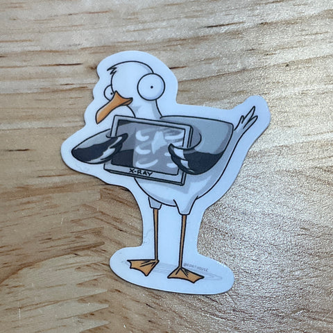 X-Ray Seagull Sticker by @Forthouse