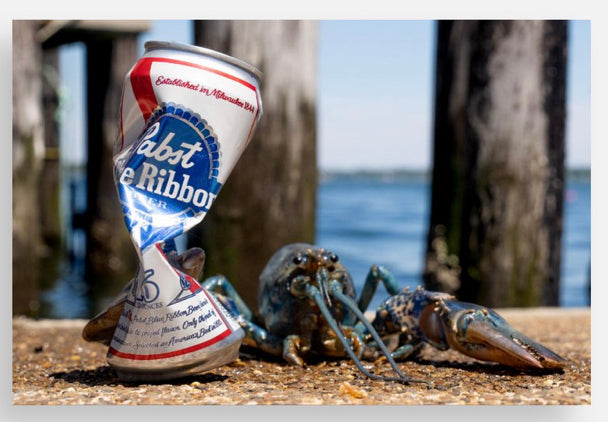 Blue Lobster Postcards @themainesouvenirshop