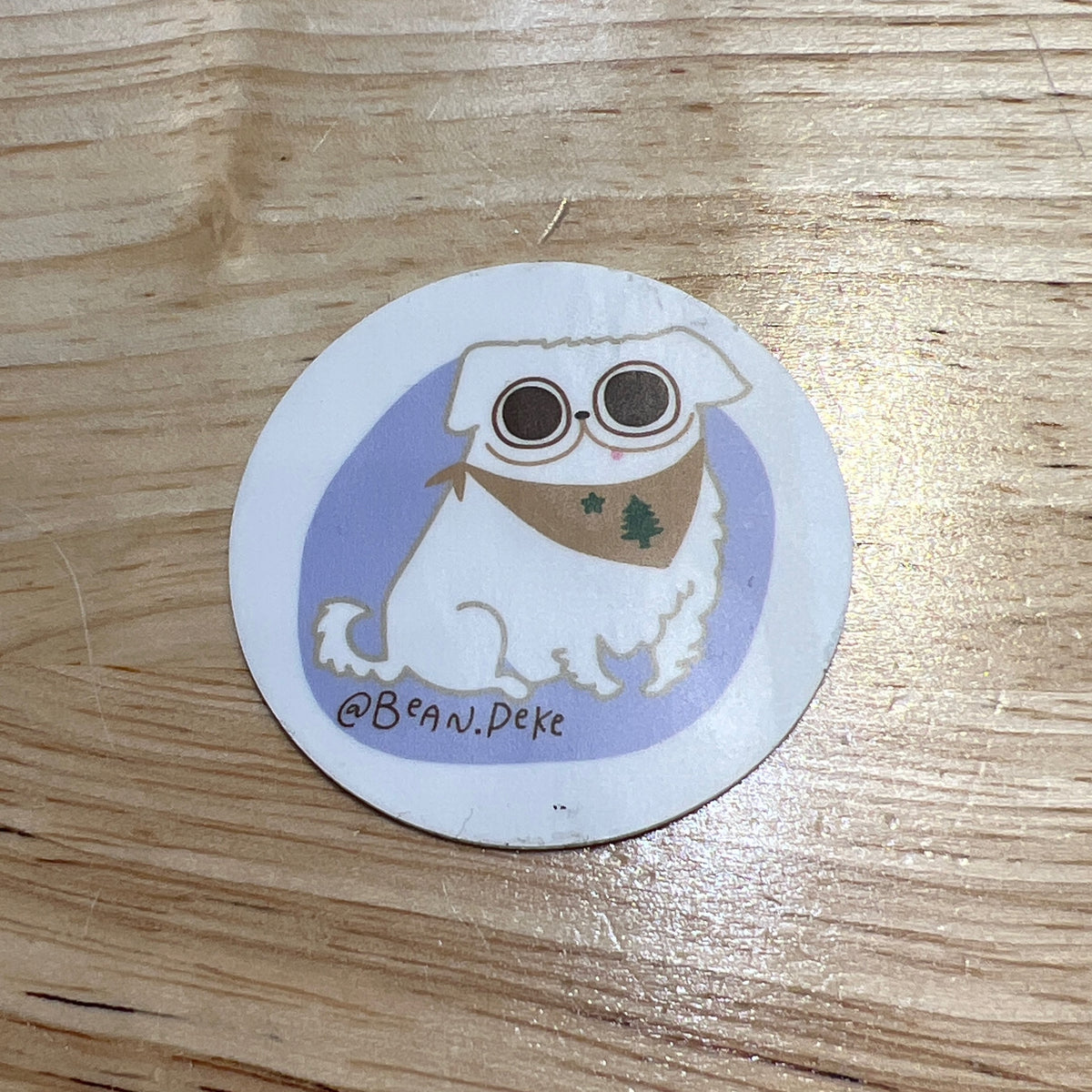 Bean the Pekingese Sticker by @beanpeke – The Maine Souvenir Shop