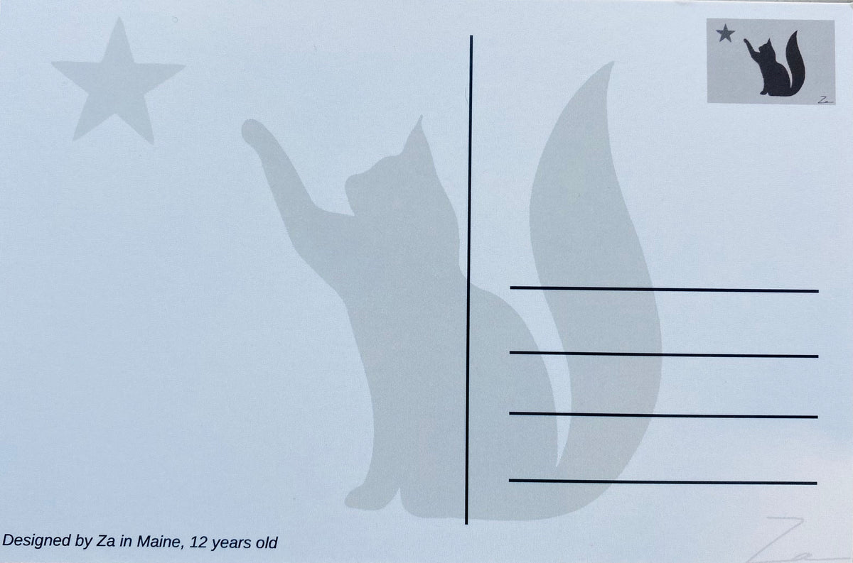 1901 Cat Postcard by Za, Aged 12