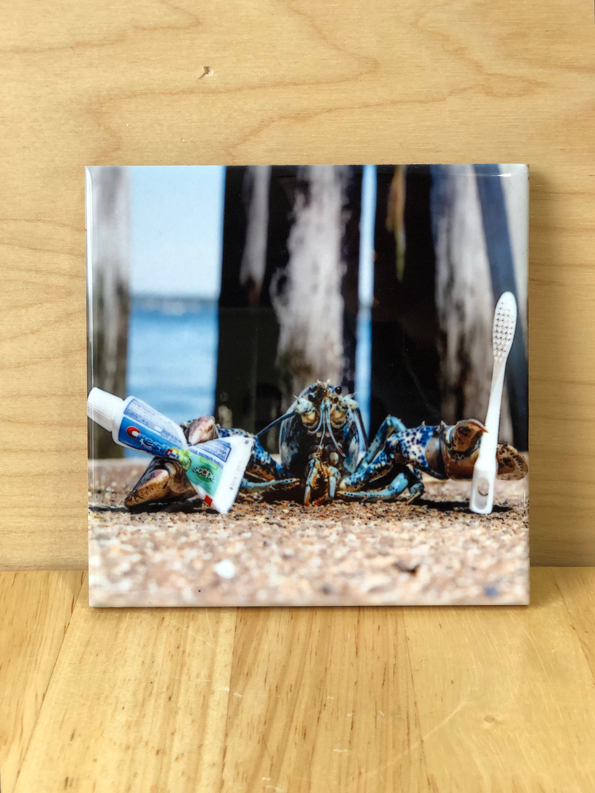 Blue Lobster Coasters @themainesouvenirshop