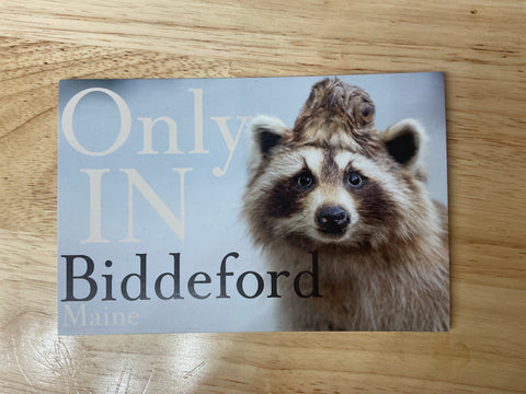 Only in Biddeford ME Postcard @themainesouvenirshop