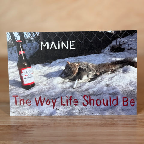 Dead Frozen Squirrel Postcard by Lena’s dad