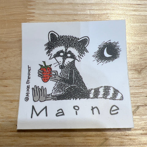 Raccoon Sticker by Mike Prevost