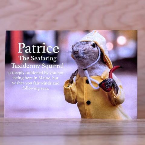 Patrice Postcard @themainesouvenirshop