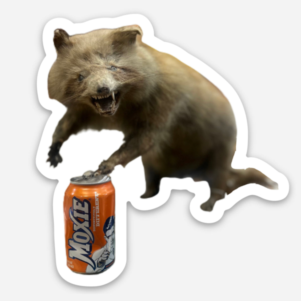 Terrence the Raccoon Sticker by @themainesouvenirshop